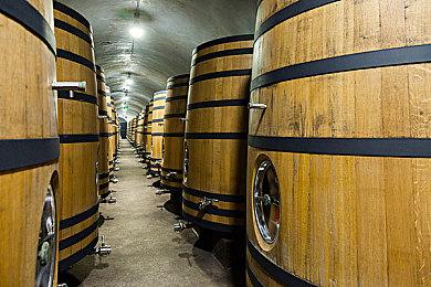 《战神：诸神黄昏》配音演员透露提尔将会回归